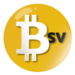 BSV